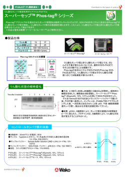 スーパーセップTM Phos
