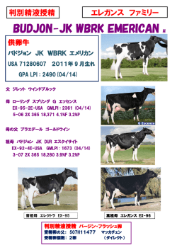 BUDJON-JK WBRK EMERICAN H