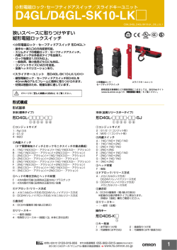 D4GL/D4GL-SK10-LK