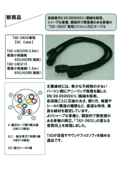 TAD-D600専用 【DC Cabーe】 TAD