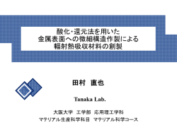 酸化・還元法を用いた 高融点金属Moへの表面微細構造形成による 輻射