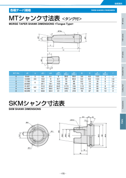 MTシャンク寸法表 ＜タング付