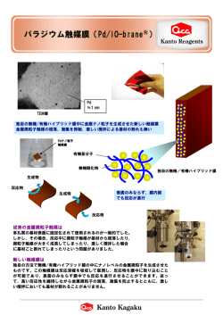 パラジウム触媒膜 Pd/iO-brane® ｜関東化学株式会社