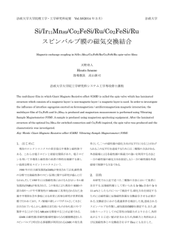 Si/Ir11Mn89/Co2FeSi/Ru/Co2FeSi/Ru スピンバルブ膜の磁気交換結合