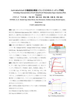 2014年春季応用物理学会学術講演会発表（予稿）