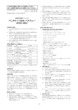 PDFファイル