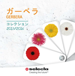 2015 CTガーベラpdf - Selecta Cut Flowers