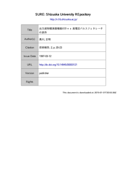 出力波形観測器機能付き ns 高電圧パルスジェネレータの試作