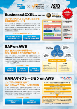 BusinessACXELfor SAP&reg;ERP SAP on AWS