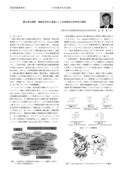 酸化還元酵素・電極共役系を基盤とした生物電気化学