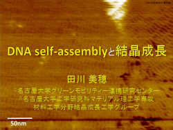 DNA self-assemblyと結晶成長