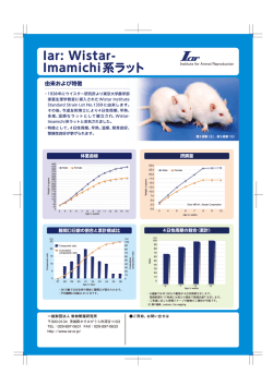 Iar: Wistar- Imamichi系ラット