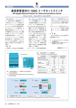 通信事業者向け100G イーサネットスイッチ (PDF: )