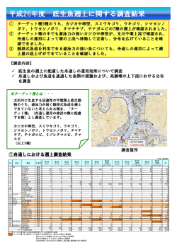 平成26年度 底生魚遡上に関する調査結果