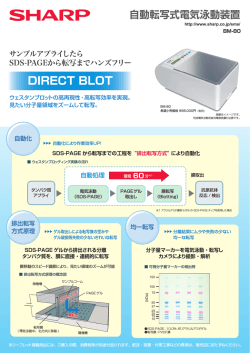 シャープ社製 自動転写式電気泳動装置 DIRECT BLOT