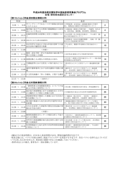 日程・プログラム - Disaster