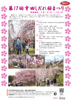 第17回幸田しだれ桜まつり