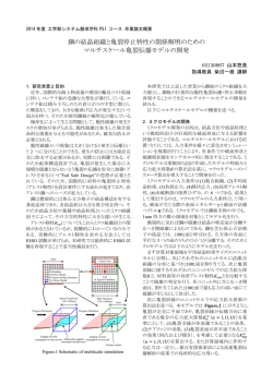 鋼の結晶組織と亀裂停止特性の関係解明のための マルチスケール亀裂