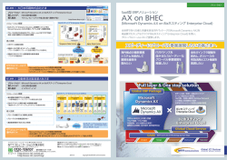 Microsoft Dynamics AX on Bizホスティング Enterprise Cloud