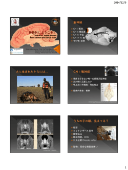 第3回 神経科へようこそ