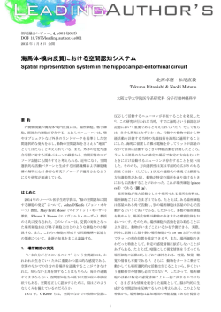 海馬体-嗅内皮質における空間認知システム