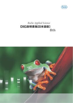 DIG説明書集［日本語版］