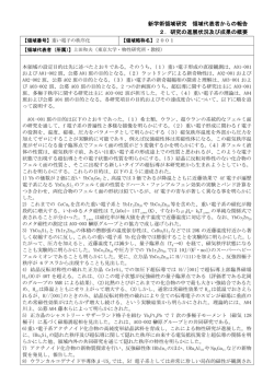 研究の進展状況及び成果の概要