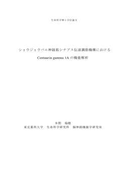 論文全文（2.08MB）