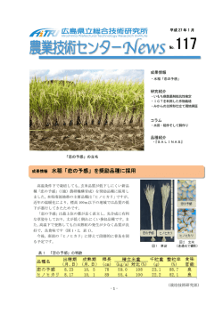 (PDFファイル)(1.3MB)