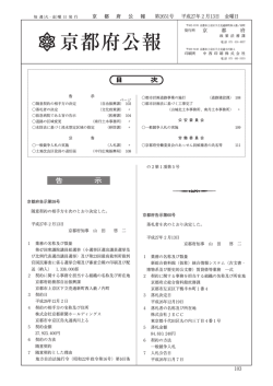 PDF：428KB