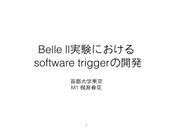 Belle II実験におけるソフトウェアトリガーの開発