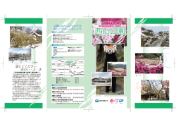 KLTFFN+SeuratProN-DB-90msp-RKSJ