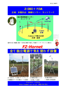 FZ-Hornet - アスペクト・システム