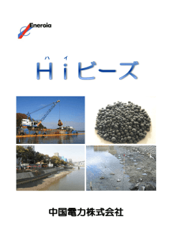 Hiビーズ パンフレット [PDF:1627KB]