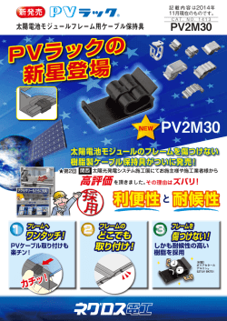 PVラックの 新星登場