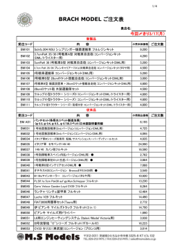 BRACH MODEL ご注文表