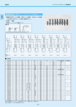 配線用端子〔WTシリーズ〕