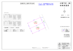 地積測量図 分筆予定（案）