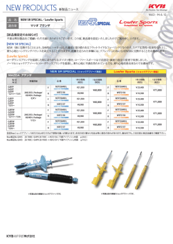 【新品番設定のお知らせ】 【NEW SR SPECIAL】 【Lowfer Sports