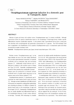 Oesophagostomum asperum infection in a domestic goat