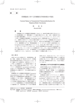 肝細胞癌に対する肝動脈化学塞栓療法の現況