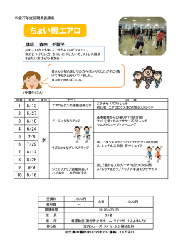 ちょい軽エアロ