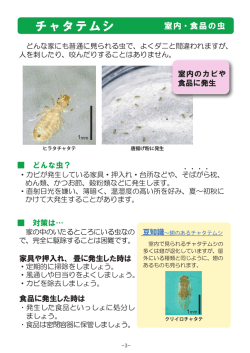 どんな虫？ 対策は&hellip; 家具や押入れ、 畳に発生した時は 食品に発生した