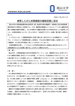 疲弊したがん攻撃細胞の機能回復に成功