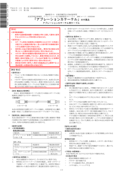 PDFファイル