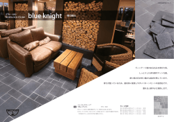 特集 ブルーナイト - 東京水産流通グループ;pdf