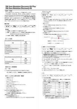 DN-Sure Mutation Discovery Kit Plus DN-Sure Mutation