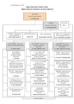 ORGANIZATION STRUCTURE
