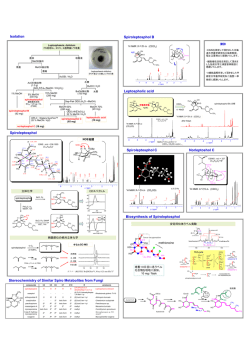 Spiroleptoshol類の構造決定