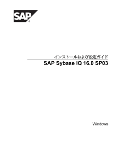 SAP Sybase IQ 16.0 SP03